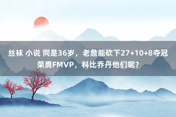 丝袜 小说 同是36岁，老詹能砍下27+10+8夺冠荣膺FMVP，科比乔丹他们呢？