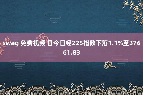 swag 免费视频 日今日经225指数下落1.1%至37661.83