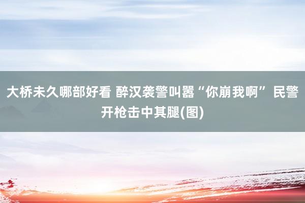 大桥未久哪部好看 醉汉袭警叫嚣“你崩我啊” 民警开枪击中其腿(图)